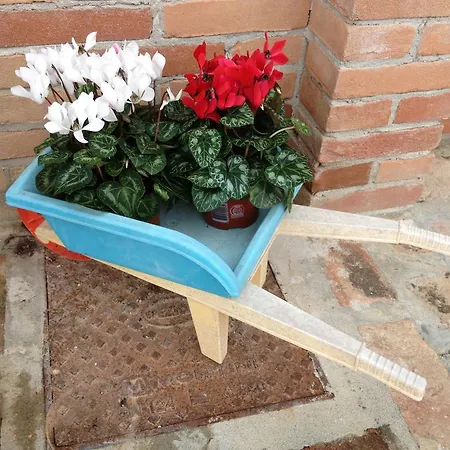 Alba Raimondo House Santa Vittoria dʼAlba