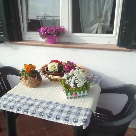 公寓 Alba Raimondo House *